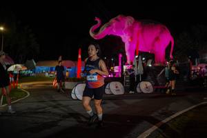 BIB: 
                            <button type="button" onclick="openModal(26552148)" class="btn btn-primary btn-sm float-right btn-popup" data-toggle="modal" data-target=".modal-high-quality">
                        <i class="fas fa-shopping-cart"></i> Add to Cart
                    </button>
                                            <button type="button" onclick="isThisMe(26552148, true)" class="btn btn-success btn-sm float-right btn-popup btn-isme hidden" data-toggle="tooltip" data-placement="bottom" title="นี่คือรูปของคุณใช่ไหม คลิกที่นี่เพื่อเอาเข้าอัลบั้ม">
                        <i class="fas fa-plus"></i> Add to album
                    </button>
                    <button type="button" onclick="isThisMe(26552148, false)" class="btn btn-warning btn-sm float-right btn-popup btn-isnotme hidden">
                        <i class="fas fa-ban"></i> Remove from album
                    </button>